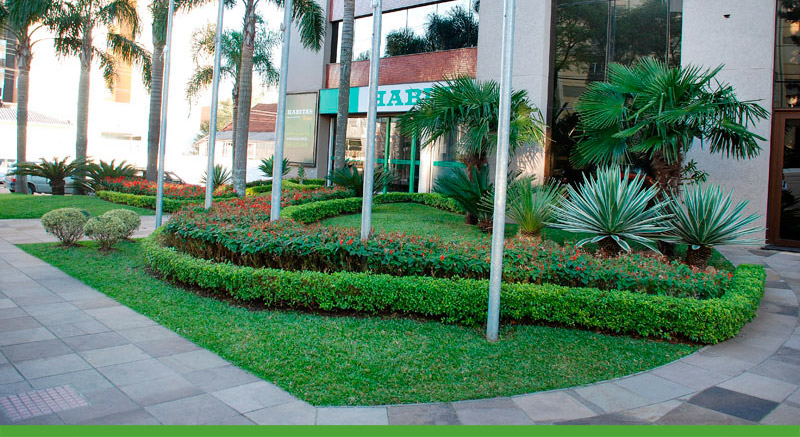 Imagem de Jardinagem Corporativa